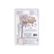 American Crafts We R Memory Keepers USB POWER TOOLS - HEAT TOOL BURN WOOD 660280